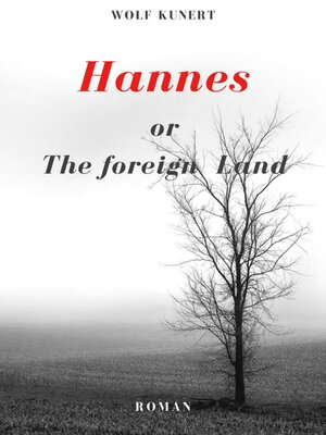 cover image of Hannes or the foreign Land